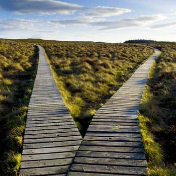  A forked boardwalk with different directions
