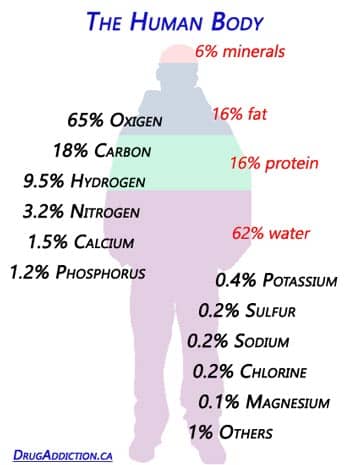 Human body and its elements