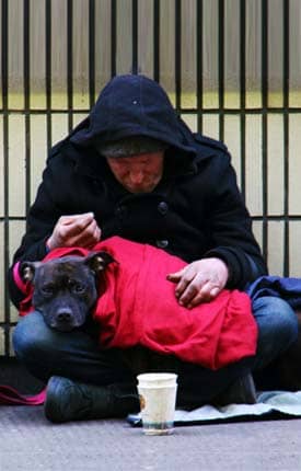 Homeless person with a dog