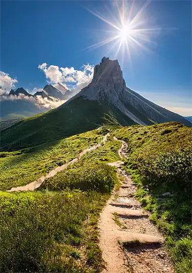  Two trails representing abstinence and harm reduction.