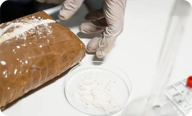 white crystalline solid or powder