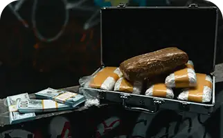 Suitcase with drugs and money